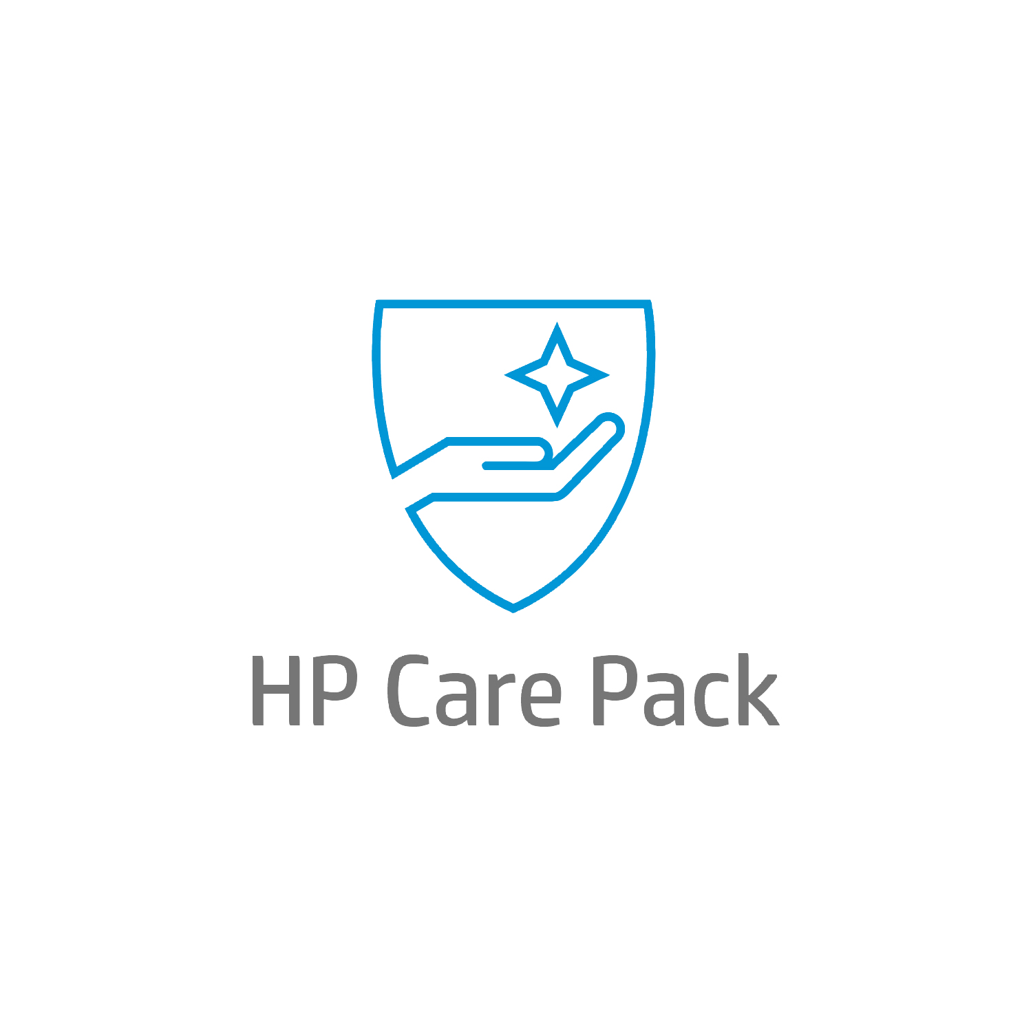 HP eCare Pack/1Yr NBD f Cpq 5xxB+monit